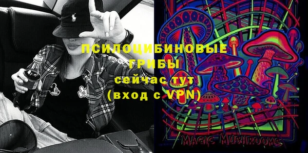 стаф Елизово