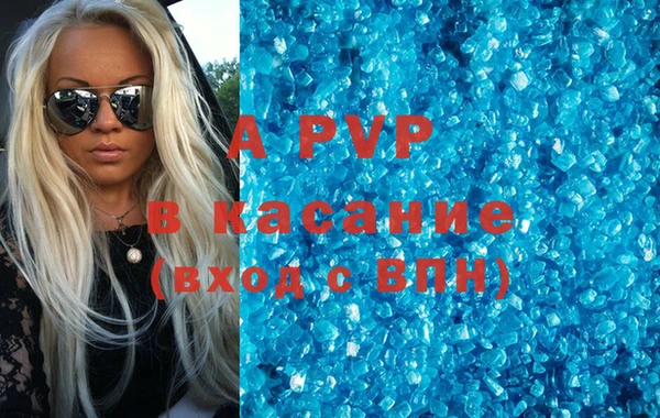 стаф Елизово