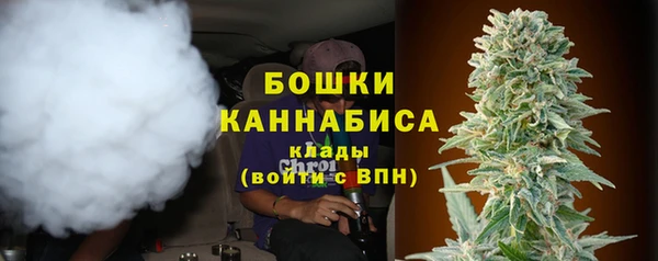 стаф Елизово