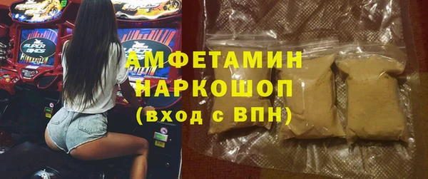 стаф Елизово