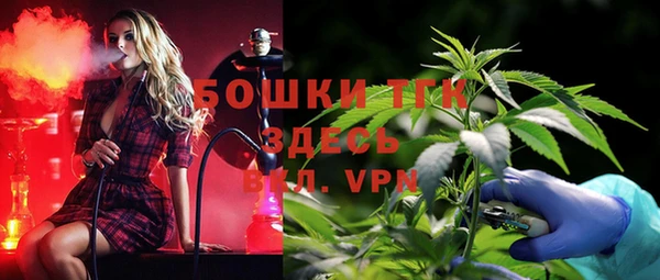 стаф Елизово