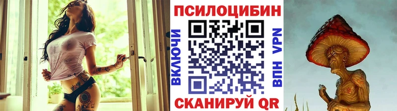 Купить где  Таруса  Галлюциногенные грибы Magic Shrooms 